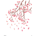 Sakuura
