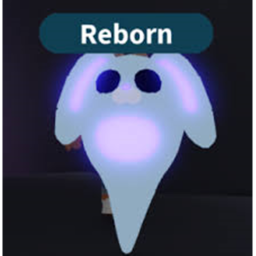 Kingdom of Bunnies (NEW)