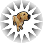 Pet The Dog