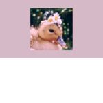 .', The Odd Ducklings ,'.