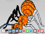 Go ants go
