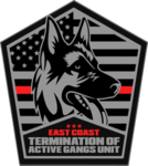 East Coast Termination of Active Gangs Unit [TAG]