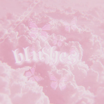 BLU$HES