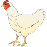 Chickie the Chicken