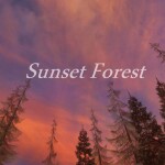 Sunset Forest