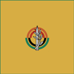 [IDF] Israel Defence Force