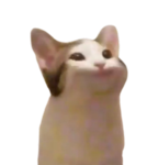 doge g-u-r-o-m