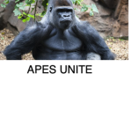Apes United kill the kaijus