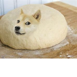 [NEW!] Meme Obby!