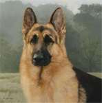 The Dog Lovers Group