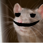 Le Rats.