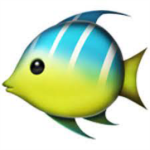 Fishy~squad