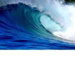 Surfing club