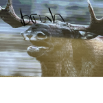 ggthgigthghtgb group
