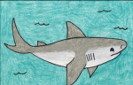 Shark Clam