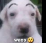 Ñ_noxRobrg