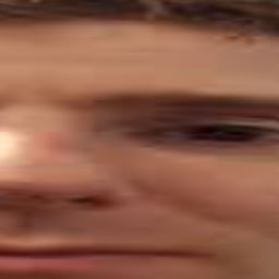 ل