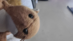 Kenny :3