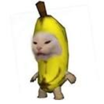 #TEAM OWL BABY