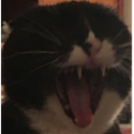 KTEGG