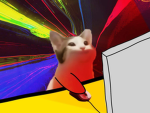 pop cat勞改營 : )