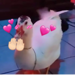Pato xde