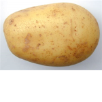 The PotatoAssassin Squad