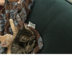 Kitty_Alaina Group!