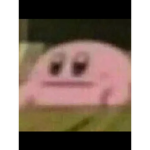 PiceBot1