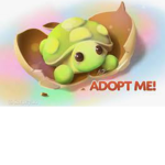 (club adopt me)