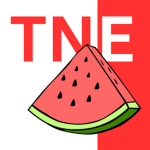 TheNoobEmpirium