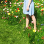 • the • colorful • garden •