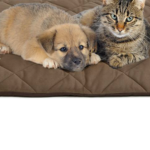 PetsPack