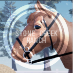 ~ Stone Creek Ranch ~ Group Thumbnail