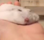 TestingBlob