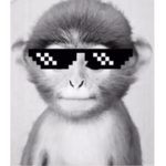 PAbLO GaN?g
