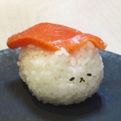 rice cat Roblox decal