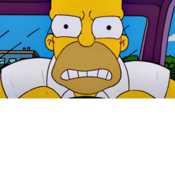 ANGRY HOMER!