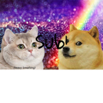 Doge And Cat Fan Group!