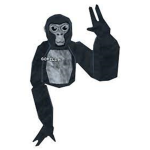 MONKE AND GORILLA GROUP