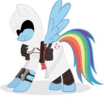 The Sisterhood Of Equine Assassins