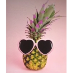 ##PineapplexX