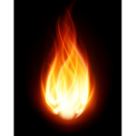 R S M Flamez's Offical fan group