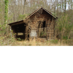 The Very Illegal Shed