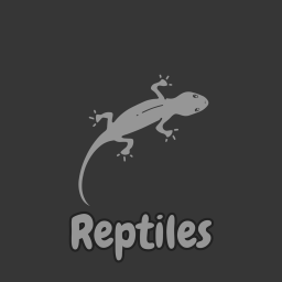 Reptiles