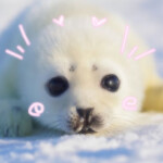 (̨̡๑´꒳`๑)̧̢ 