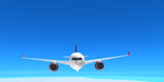 Aviation Roblox Team