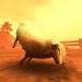Crazy Cattle 3D real icon