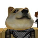 The Doge Boy Squad