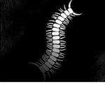 Worm Org 蟲